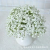 Simulated starry sky bride wedding decoration hand-held bouquet, soft rubber, fresh and small mini bouquet of starry sky Application Scenario